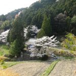 アフリカツインの書類発送と都会っ子の里山体験